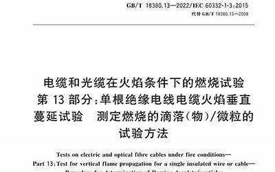 GB T 18380.13-2022 电缆和光缆在火焰条件下的燃烧试验 第13部分：单根绝缘电线电缆火焰垂直蔓延试验 测定燃烧的滴落(物)微粒的试验方法(3.66MB)445714f1ca81b37f.pdf